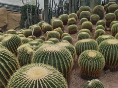 -南山植物园