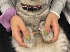 -白夜2D咖啡馆