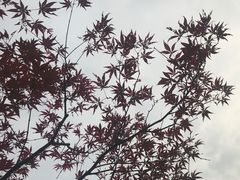-后襄河公园