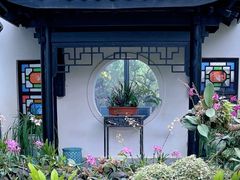 -东莞植物园