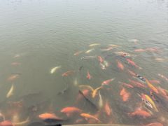 -南阳卧龙岗武侯祠