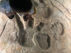 -湖南省地质博物馆