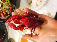 -虾弄弄海派小龙虾·牛羊蝎子火锅
