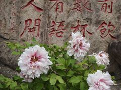 -房陵农家(东亭店)