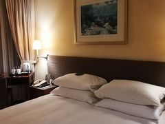 -香港都会海逸酒店