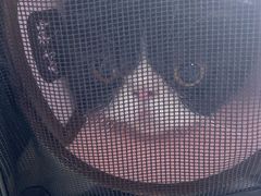 -瑞派福兴宠物医院犬猫全科·骨科·中西医结合(河东店)