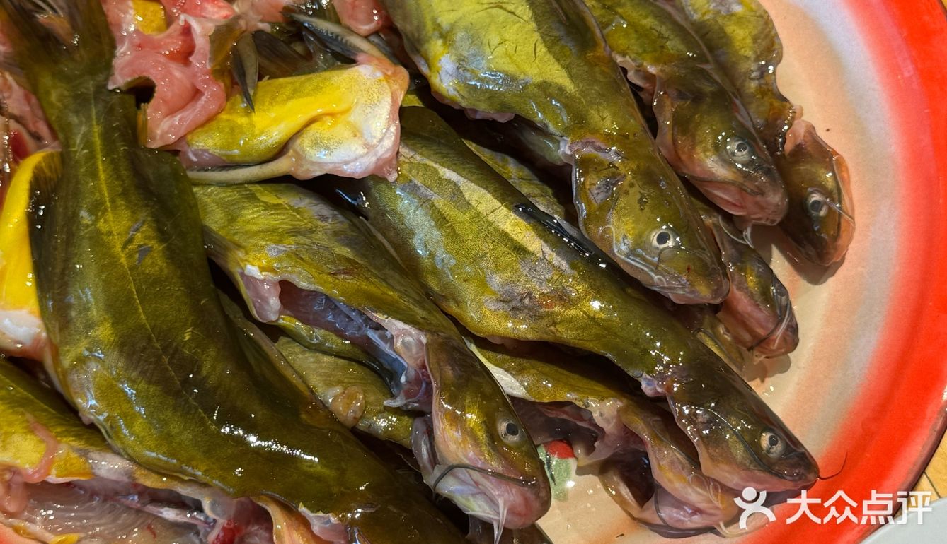 黄辣丁火锅  太太太好吃了吧！