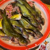 黄辣丁火锅  太太太好吃了吧！