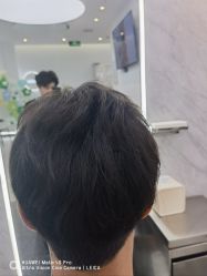 -YESIDO椰岛造型