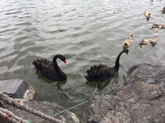 -上海怡沁园度假酒店