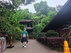-峨眉山报国寺