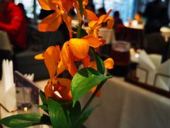 -狮王府淮扬菜(夫子庙老门东店)