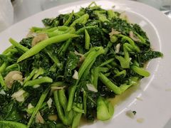 空心菜-日日香卤鹅饭店·澄海狮头鹅(澄海店)
