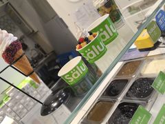 -Salud撒露欧洲冻酸奶(蓝色港湾店)