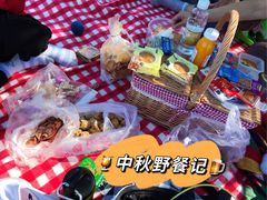 -西青郊野公园