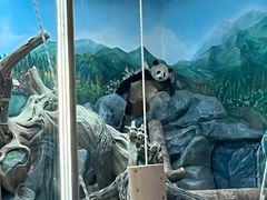 -武汉动物园