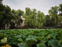 -四川大学(望江校区)