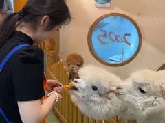 -藦茜花园宠物主题亲子互动体验馆(国顺东路店)