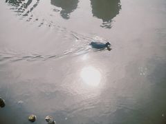 -前关湿地公园