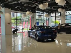 -TESLA 特斯拉(深圳观澜特斯拉直营钣喷中心)
