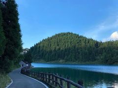 -武陵山森林公园