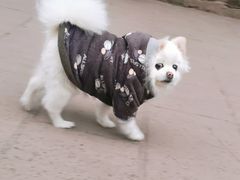 -五凤溪古镇