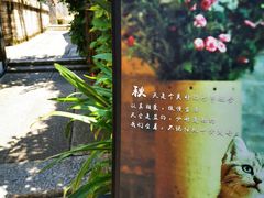 -老屋咖啡
