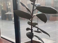 -不相离盐帮菜(郎园店)