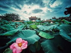 -宝墨园景区