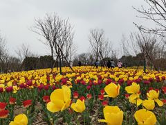 -自然谷恐龙园