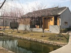 -春风习习