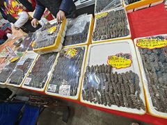 -天津梅江会展中心