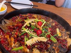 -老板恋上鱼(恒隆广场店)