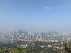 -南山植物园