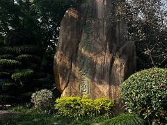 -昆山城市生态森林公园