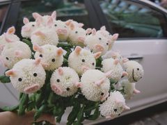 -Flower in(密渡桥店)