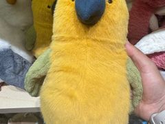 -深圳湾万象城(南山店)