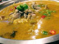 出水芙蓉-都市阳光海鲜城(青山湖店)