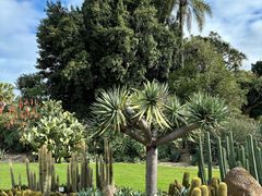 -墨尔本皇家植物园