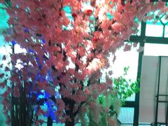 -野妹火锅(龙岗店)