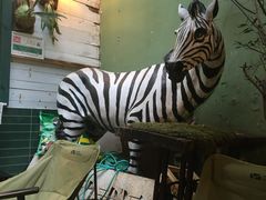 -大水的店(昙华林店)