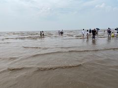 -奉贤海滩
