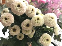 -美联英语(绿宝中心)