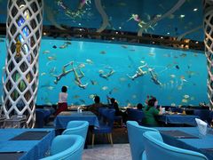 -瑞德姆美人鱼海底演艺主题餐厅(亚龙湾店)