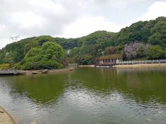 -广州市帽峰山景区