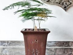 -北京古城老院厉晓麟精致菜