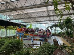 -南宫五洲植物乐园