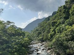 -海南热带雨林国家公园吊罗山景区