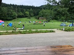 -武陵山森林公园