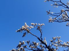 -北京金海湖景区